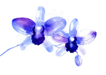 Fototapeta na wymiar Branch of blue watercolor orchids