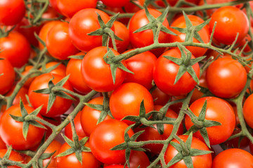 Red Cherry Tomatoes Group On Green Vine