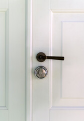 Close-up view of white wooden door with handle.