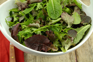 jeunes pousses de salade