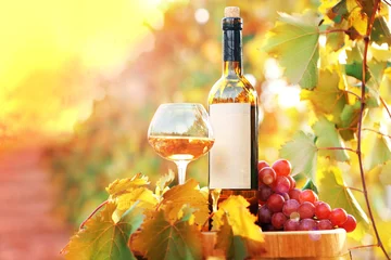 Fotobehang Tasty wine on wooden barrel on grape plantation background © Africa Studio