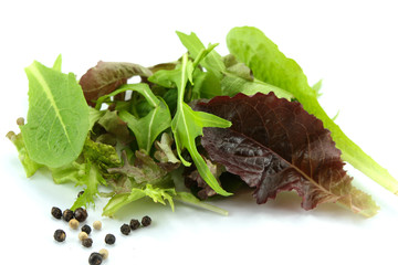 salade de jeunes pousses