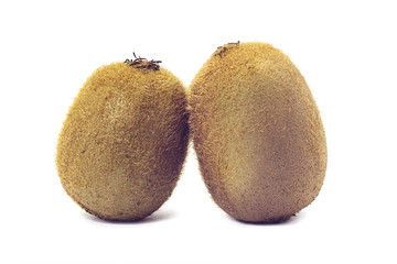 Kiwi fruit isolated on white background