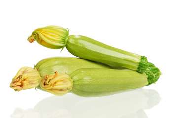 Vegetable marrow