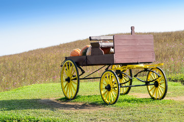 Fototapeta na wymiar Wagon in large pumpkin farm