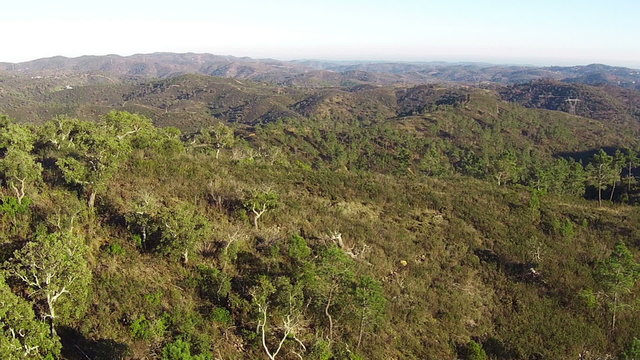 Aerial View Flying up a Mountains Covered with Forests, Portugal