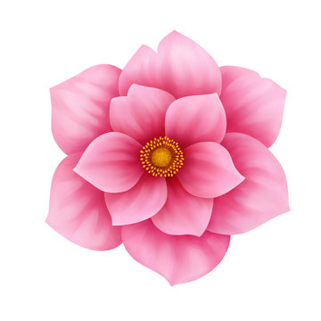 Vector anemone pink flower decorative illustration isolated