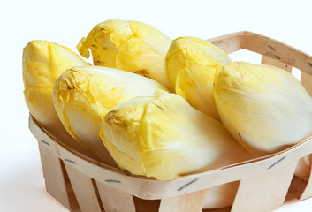 Endives empilées conditionnées en cagette