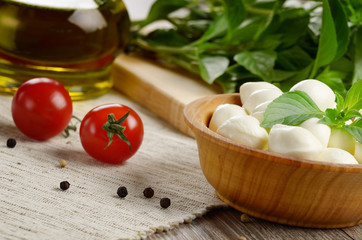 Mozzarella, tomatoes, basil and oil