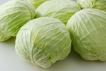 キャベツ Cabbage © Nishihama