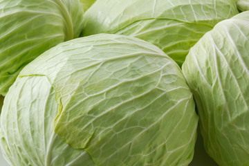 Fototapeta premium キャベツ Cabbage