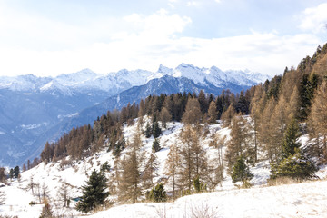 Veduta di montagna invernale