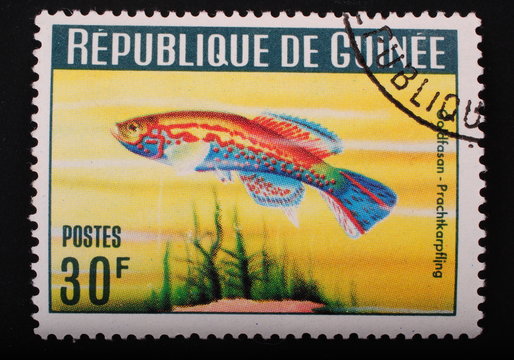 Guinea circa 1964 Postage stamp printed in Republic of Guinea