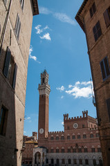 Fototapeta premium Siena