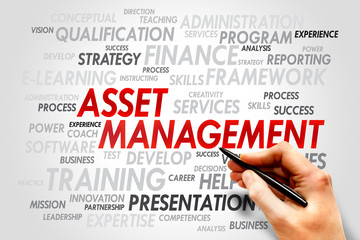 Asset Management word cloud, business concept