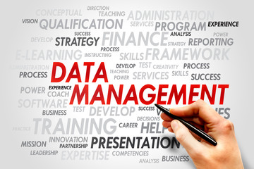 Data Management word cloud, business concept