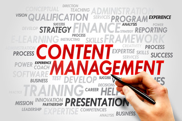 Content Management word cloud, business concept