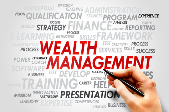 Wealth Management Word Cloud, Business Concept