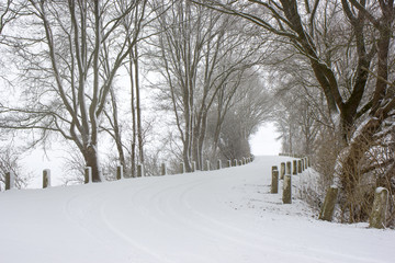 snowfall - winter landscape