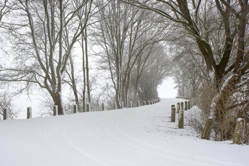 Obraz premium snowfall - winter landscape