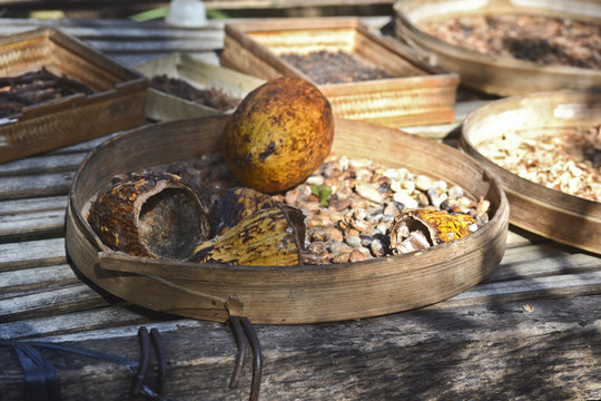 Caff&eacute; indonesiano: caff&egrave; Kopi Luwak