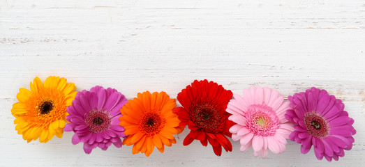 Blumenhintergrund