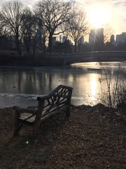 Obraz premium bench near the winter lake