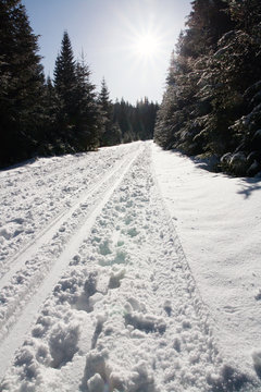 Winter sunny day
