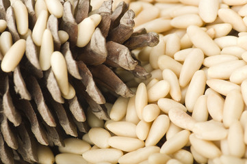 clean pine nuts on wooden table with pine cones