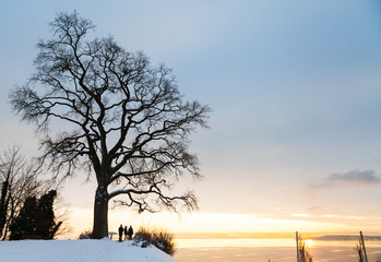 Aussicht über den Bodensee