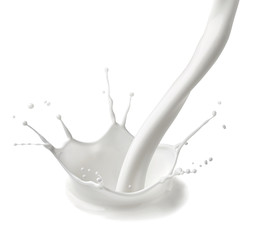 milk splash drop white liquid