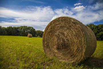 roue de paille