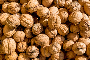 Viele Walnüsse Nahaufnahme
