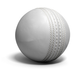 Cricket Ball White