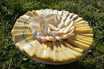 Assiette de fromage dans l'herbe