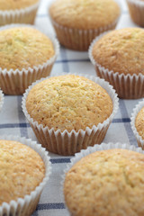 Baked vanila cupcakes sprinkled with white sugar.