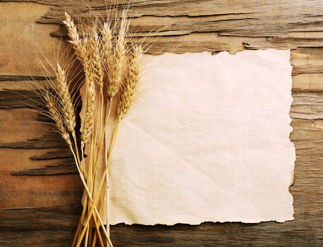 Spikelets of wheat with paper on wooden background