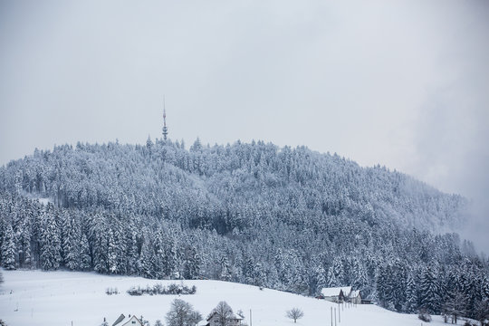 Bachtel Hinwil