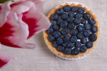 Tartlet with fresh blueberries