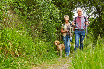 Senioren mit Hund auf Wanderung