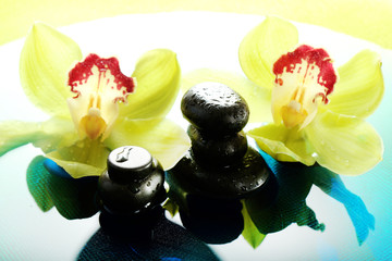 Spa stones with water drops and beautiful blooming orchid in