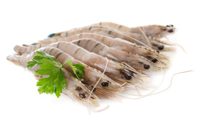 Shrimps isolated on white