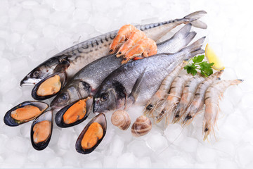 Fresh fish and other seafood on ice