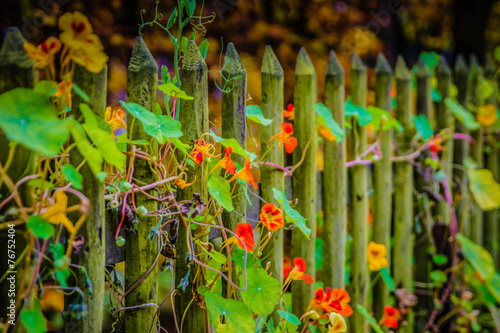 "Bauerngarten im Herbst" Stockfotos und lizenzfreie Bilder auf Fotolia