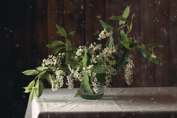 Натюрморт с веткой черемухи