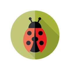 ladybird flat icon