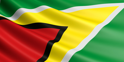 Obraz premium Guyana flag.