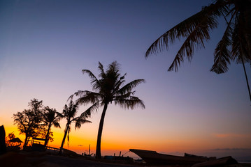 Colorful sunset with palm tree silhouettes, Indonesia