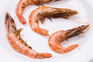 boiled shrimps