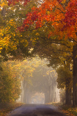 Autumn road in north Poland